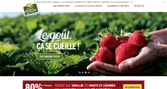 Desktop Screenshot of chapeaudepaille.fr